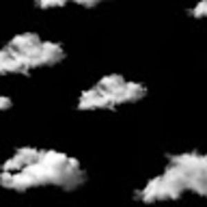 Meet your Posher, Brylee